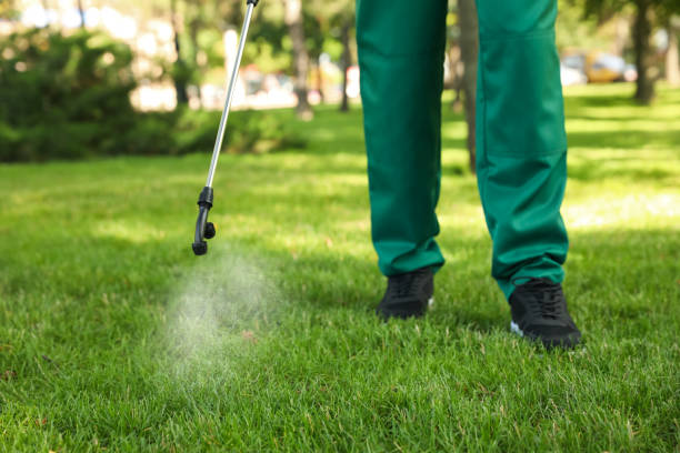 Best Wasp Removal Services  in Celina, TX